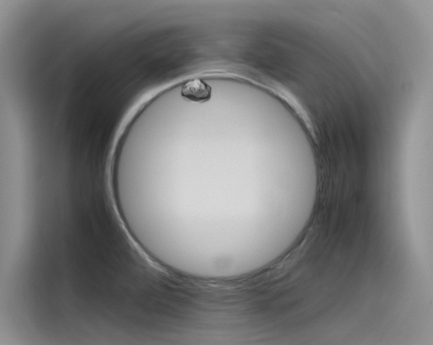 X0000115781472200911130956
