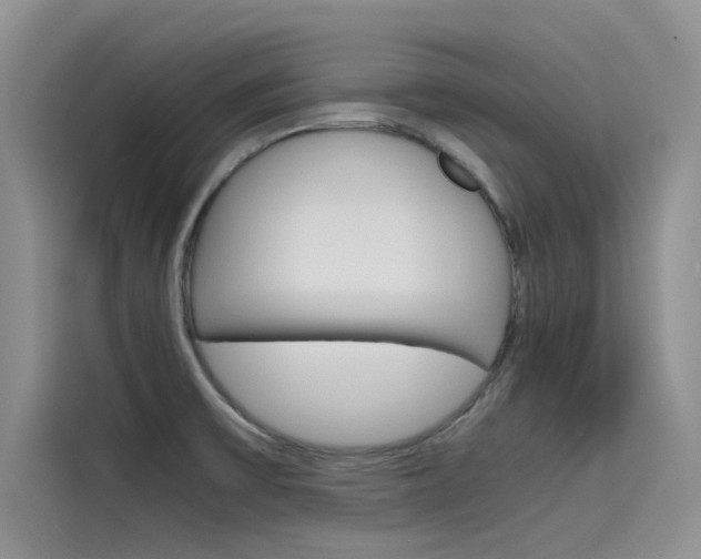 X0000115781475200911130956