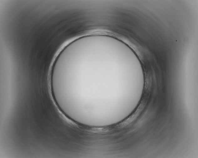 X0000115781478200911130956