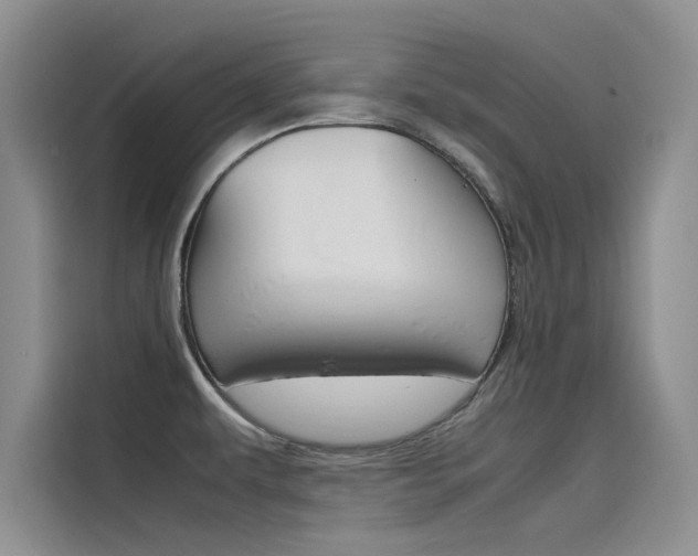 X0000115781479200911130956