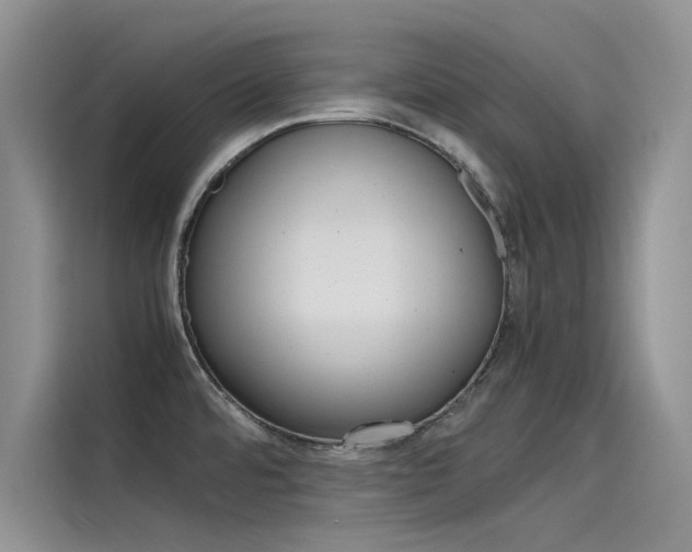 X0000115781480200911130956