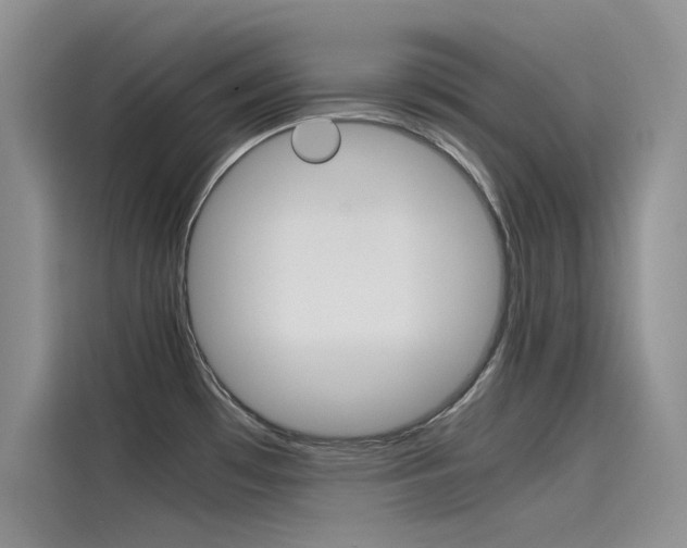 X0000115781481200911130956
