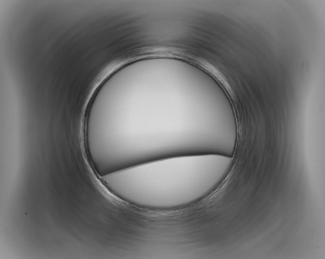 X0000115781482200911130956