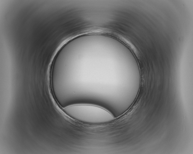 X0000115781483200911130956