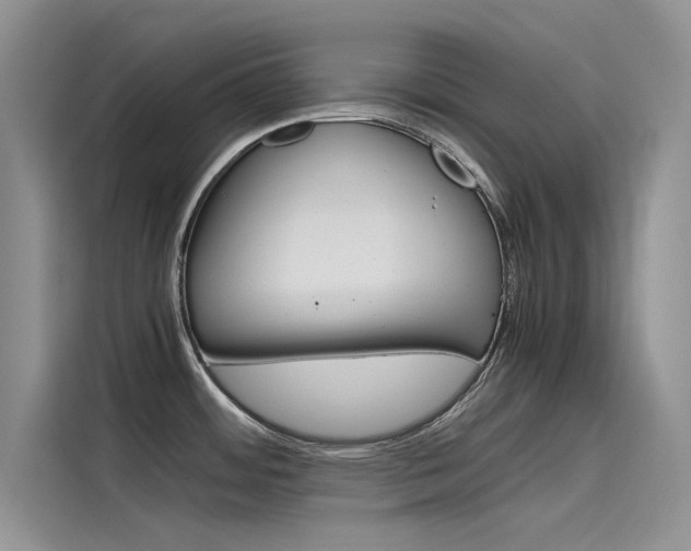 X0000115781484200911130956