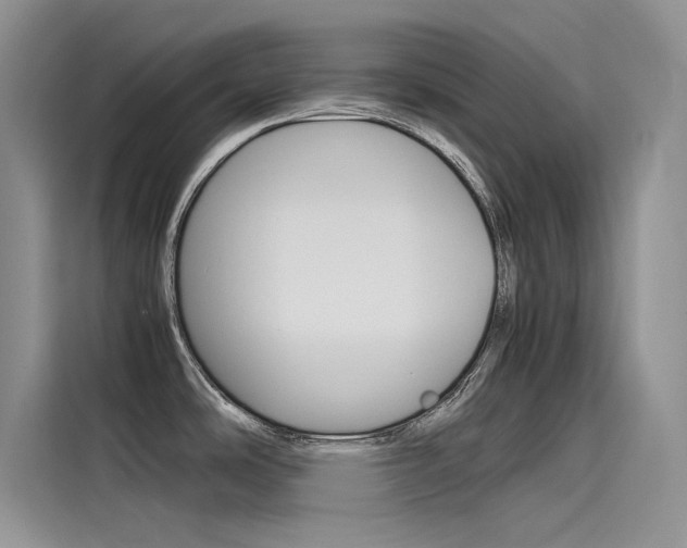 X0000115781486200911130956