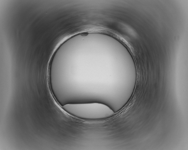 X0000115781487200911130956