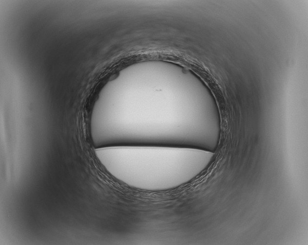 X0000115781493200911130955