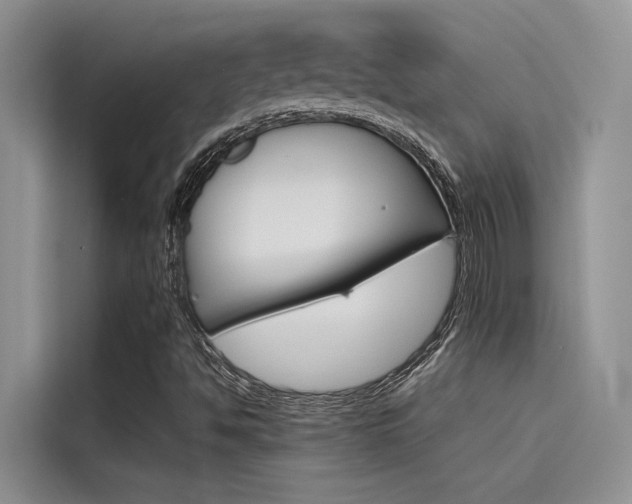 X0000115781494200911130955