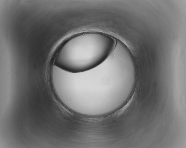 X0000115781502200911130956