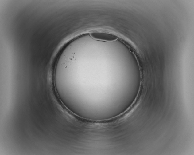 X0000115781506200911130956