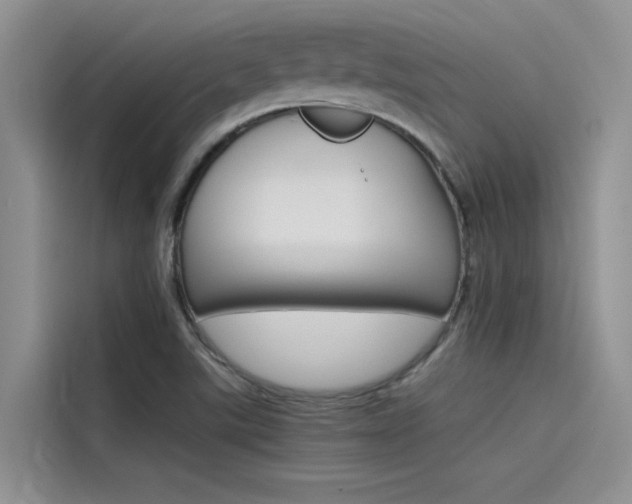 X0000115781507200911130956
