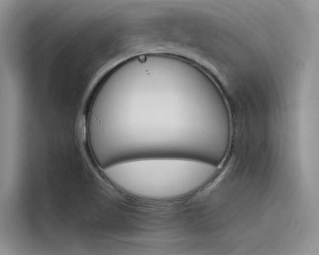 X0000115781509200911130956