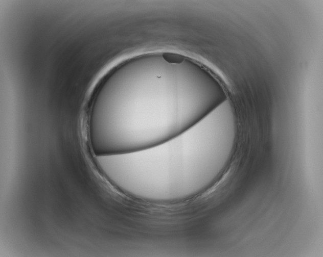 X0000115781510200911130956