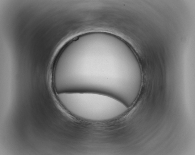 X0000115781511200911130956