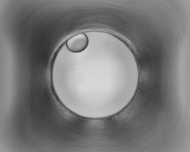 X0000115781514200911130956