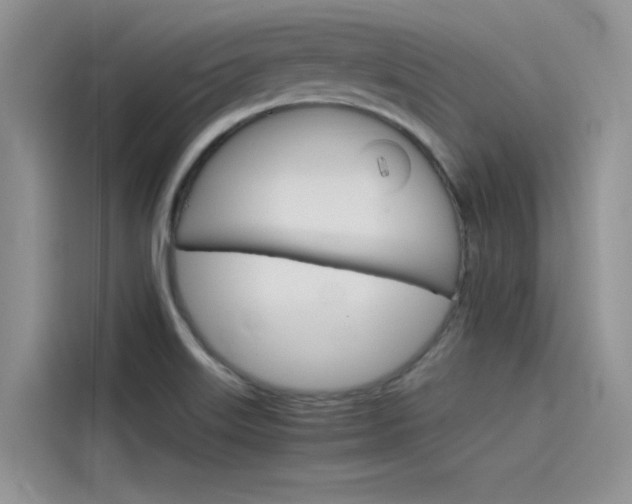 X0000115781515200911130956