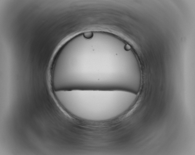X0000115781517200911130956