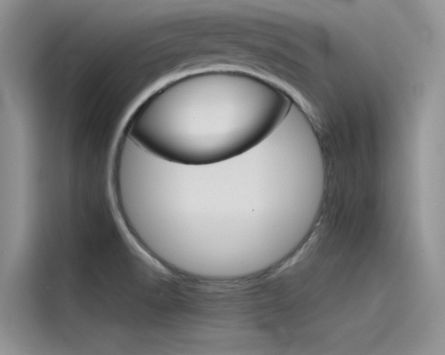 X0000115781518200911130956