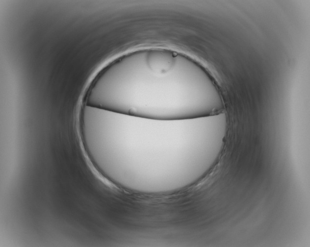 X0000115781519200911130956