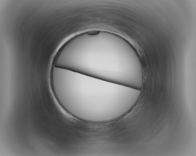 X0000115781523200911130956