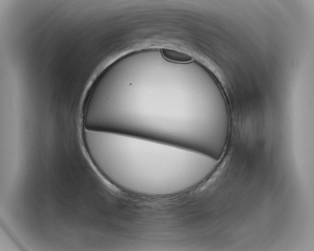 X0000115781525200911130956
