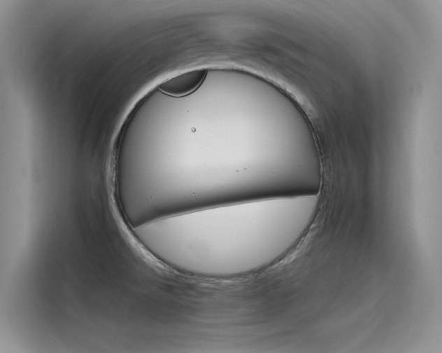 X0000115781526200911130956