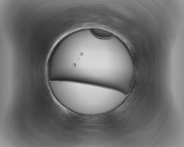 X0000115781527200911130956