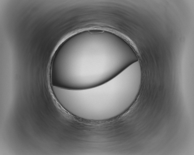X0000115781530200911130956