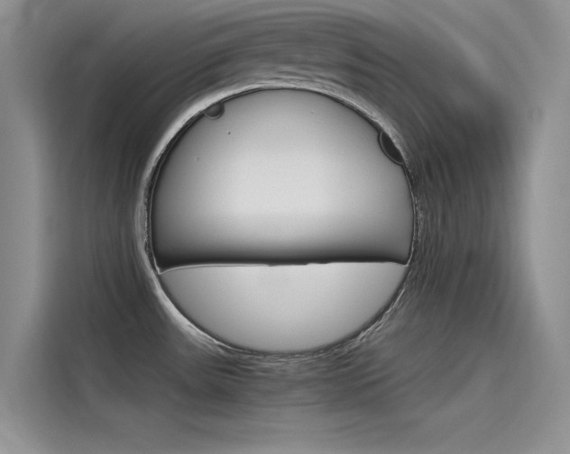 X0000115781531200911130956