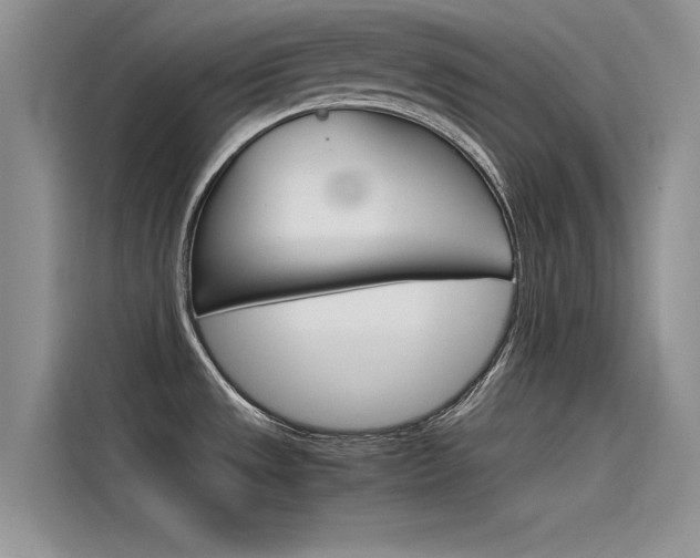 X0000115781533200911130956