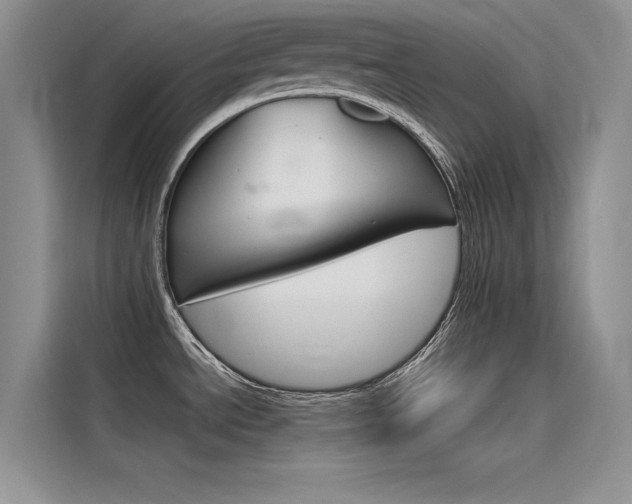 X0000115781534200911130956