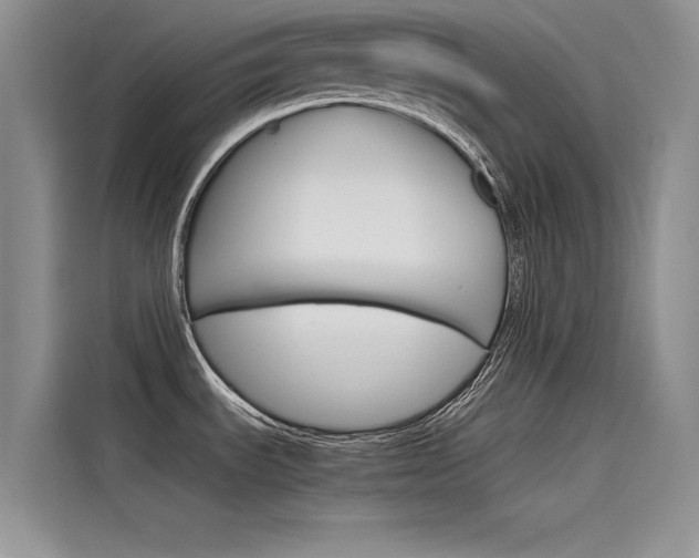 X0000115781535200911130956