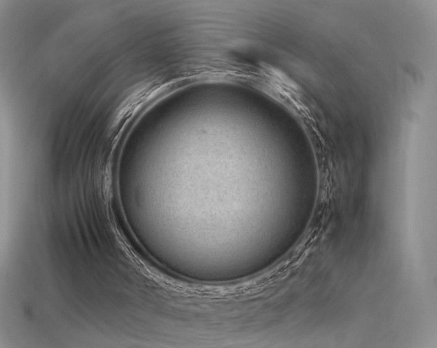 X0000115780002200911131257