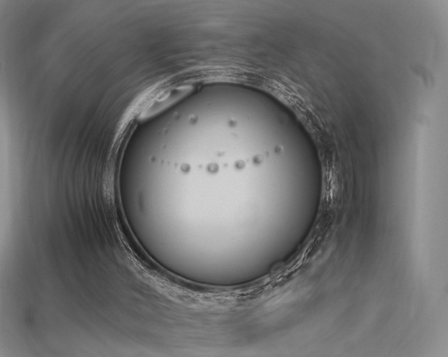 X0000115780004200911131257