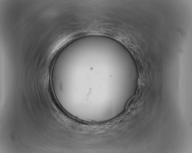 X0000115780005200911131257