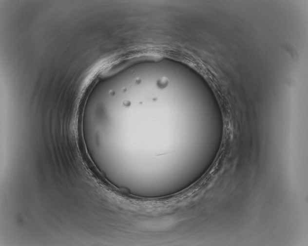 X0000115780006200911131257