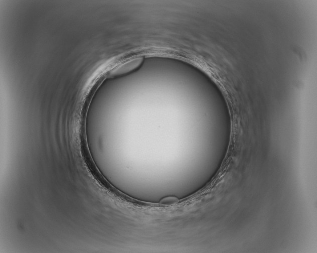 X0000115780007200911131257
