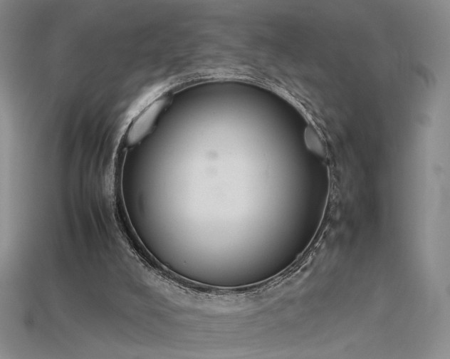 X0000115780008200911131257