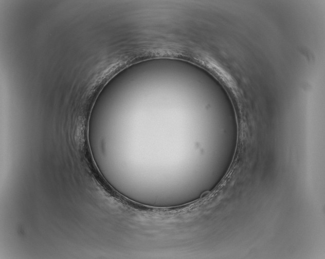 X0000115780009200911131257