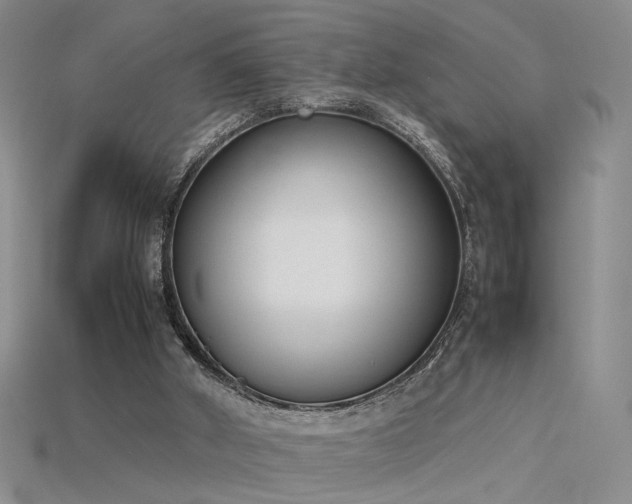 X0000115780010200911131257
