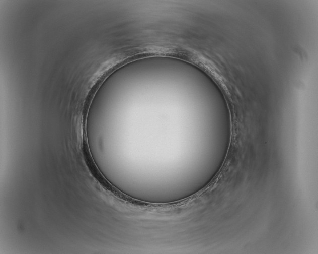 X0000115780011200911131257