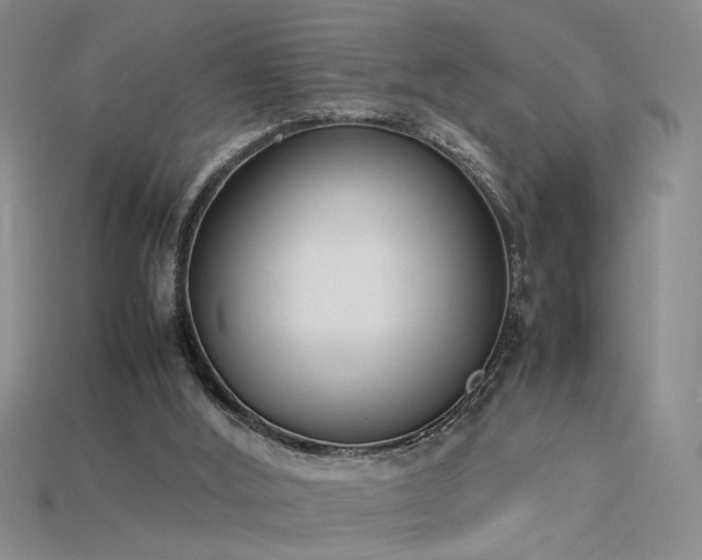 X0000115780012200911131257