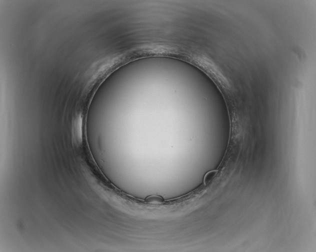 X0000115780014200911131257