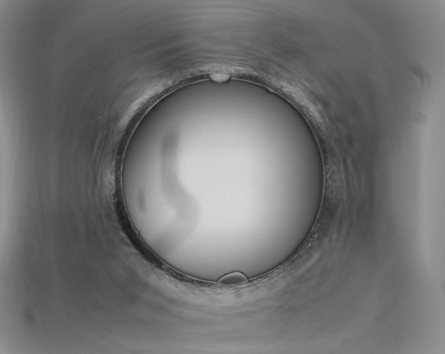 X0000115780015200911131257