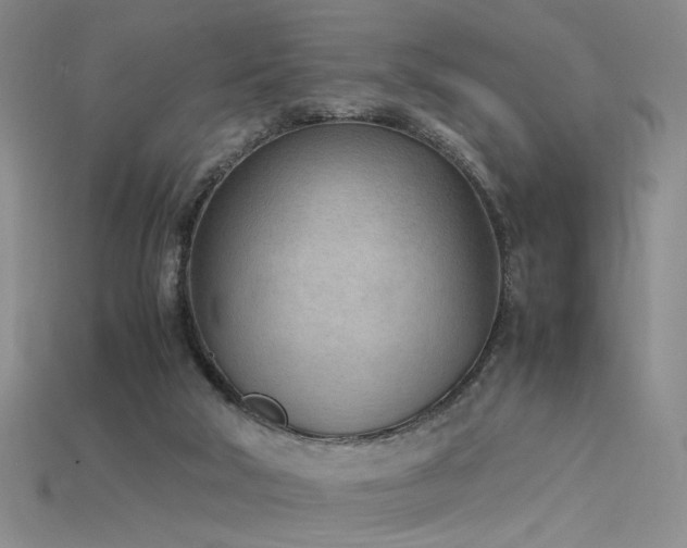 X0000115780018200911131257