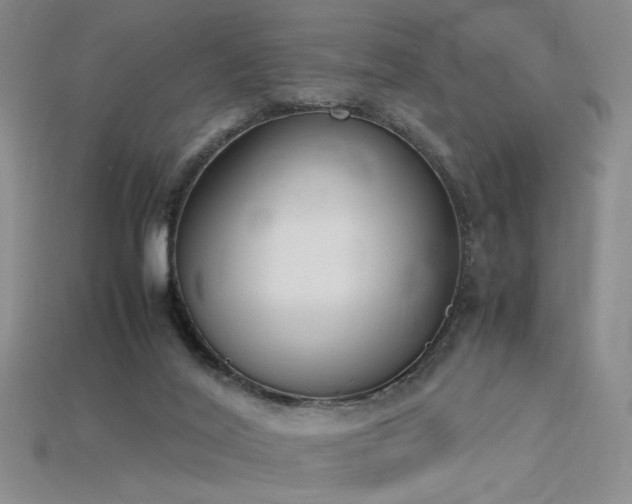 X0000115780020200911131257