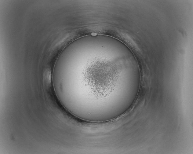 X0000115780021200911131257