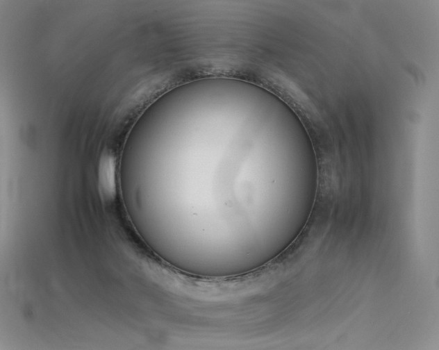 X0000115780022200911131257