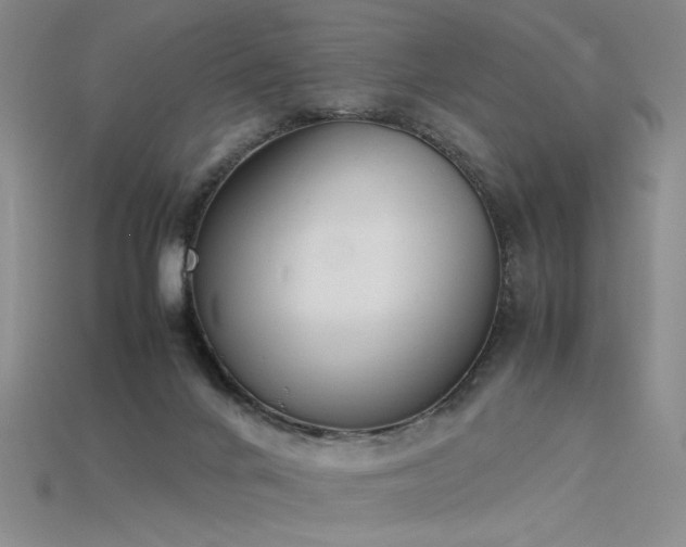 X0000115780024200911131257